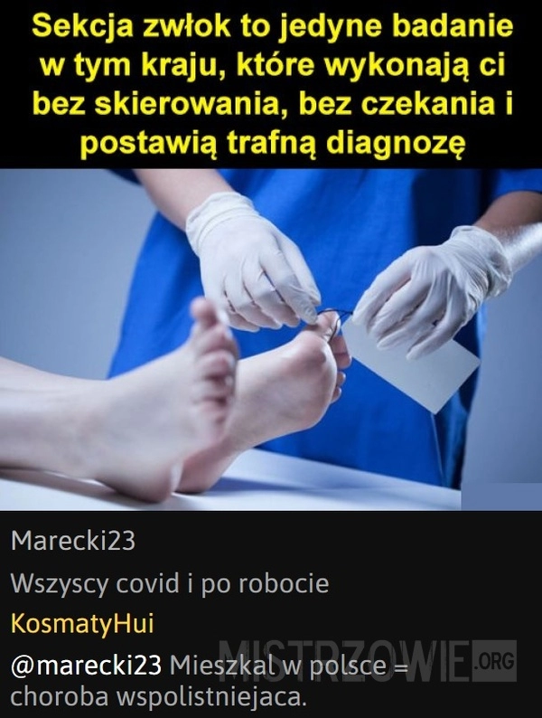 
    Sekcja zwłok