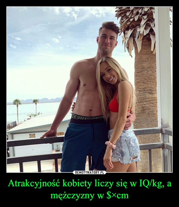 
    Atrakcyjność kobiety liczy się w IQ/kg, a mężczyzny w $×cm