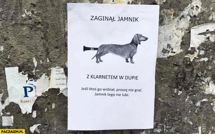 
    Zaginął jamnik z klarnetem w dupie. Jeśli ktoś go widział proszę nie grać, jamnik tego nie lubi ogłoszenie