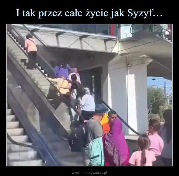 
    I tak przez całe życie jak Syzyf…