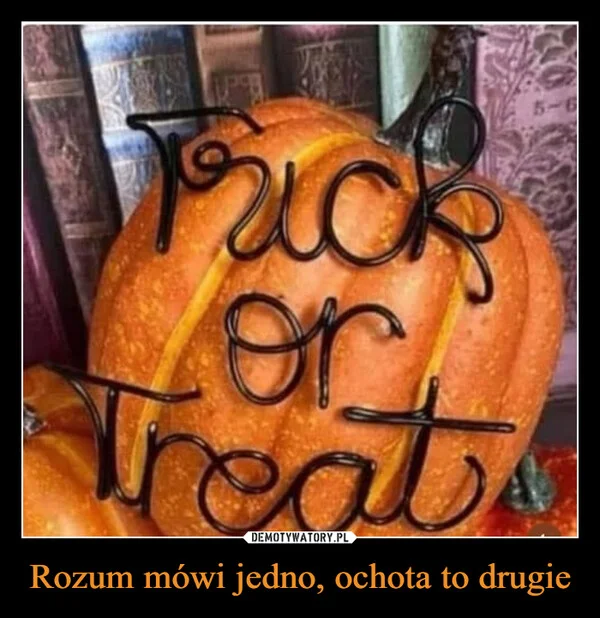 
    Rozum mówi jedno, ochota to drugie