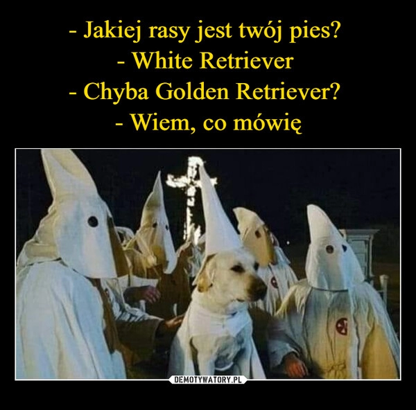 
    - Jakiej rasy jest twój pies? 
- White Retriever 
- Chyba Golden Retriever? 
- Wiem, co mówię