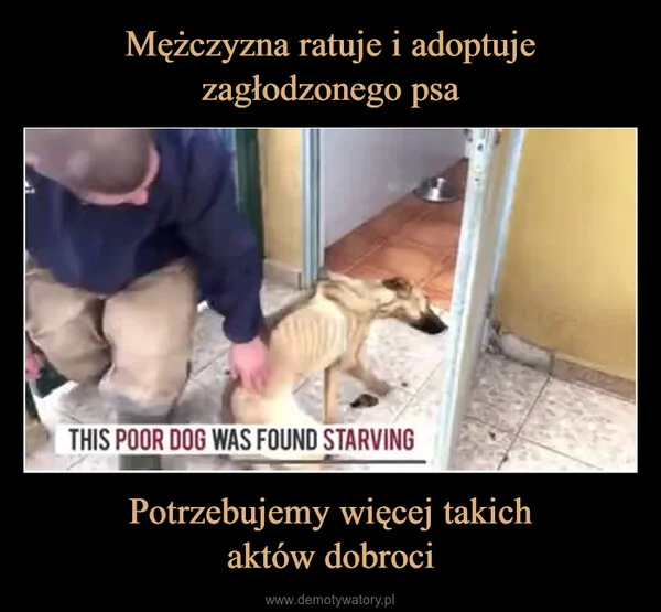 
    Mężczyzna ratuje i adoptuje zagłodzonego psa Potrzebujemy więcej takich aktów dobroci