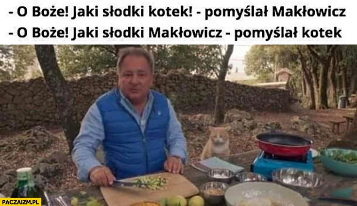 
    Jaki słodki kotek pomyślał Makłowicz, jaki słodki Makłowicz pomyślał kotek