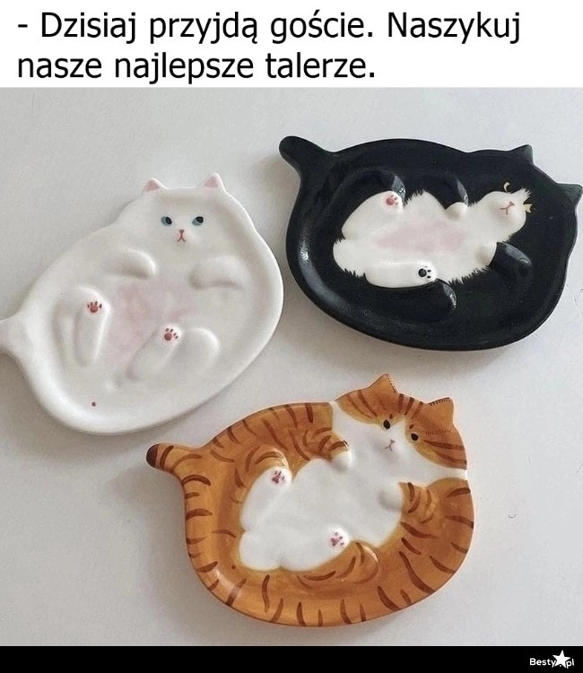 
    Najlepsze talerze 