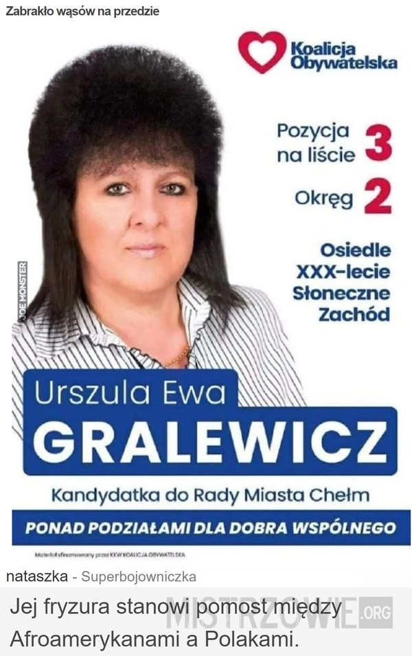 
    Zabrakło wąsów na przedzie