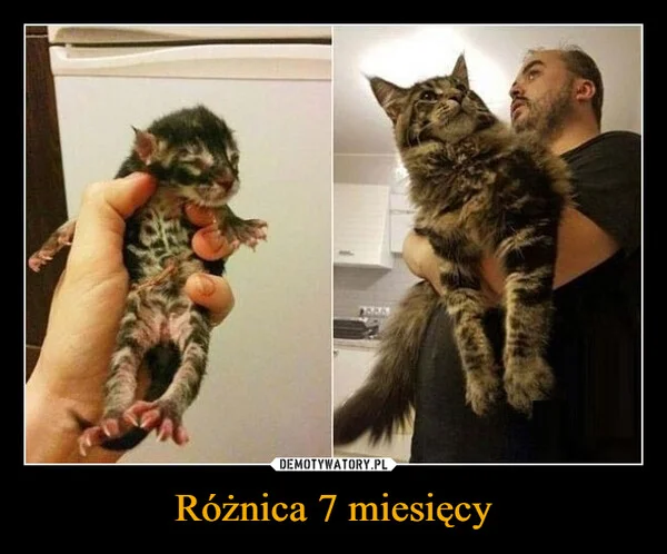 Różnica 7 miesięcy