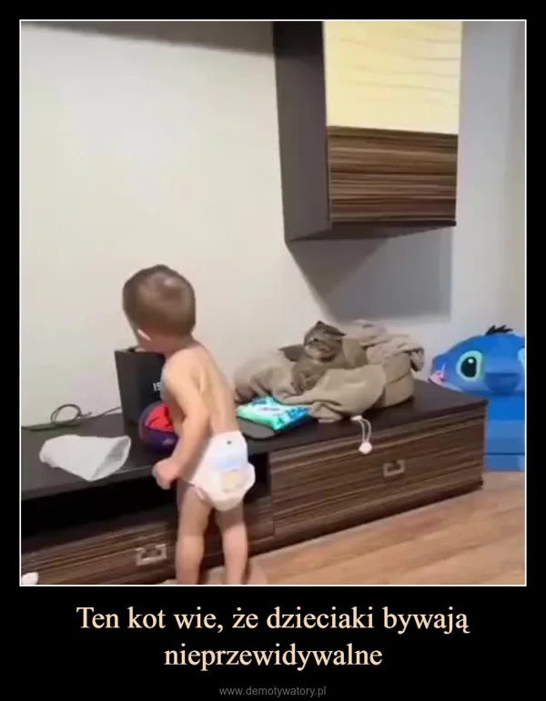 
    Ten kot wie, że dzieciaki bywają nieprzewidywalne