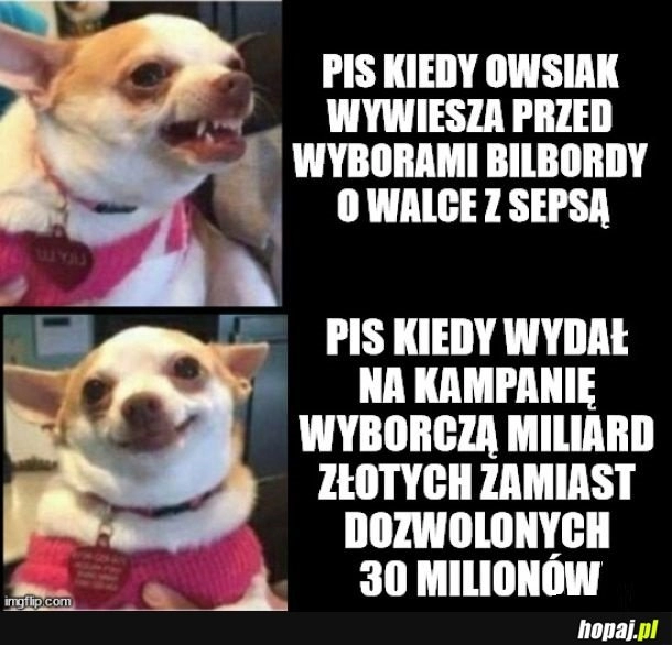 
    Pokonaliśmy tę zarazę!