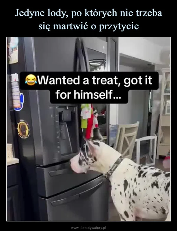 
    Jedyne lody, po których nie trzeba się martwić o przytycie