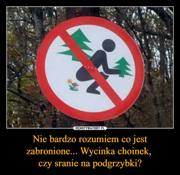 
    Nie bardzo rozumiem co jest zabronione... Wycinka choinek, czy sranie na podgrzybki?