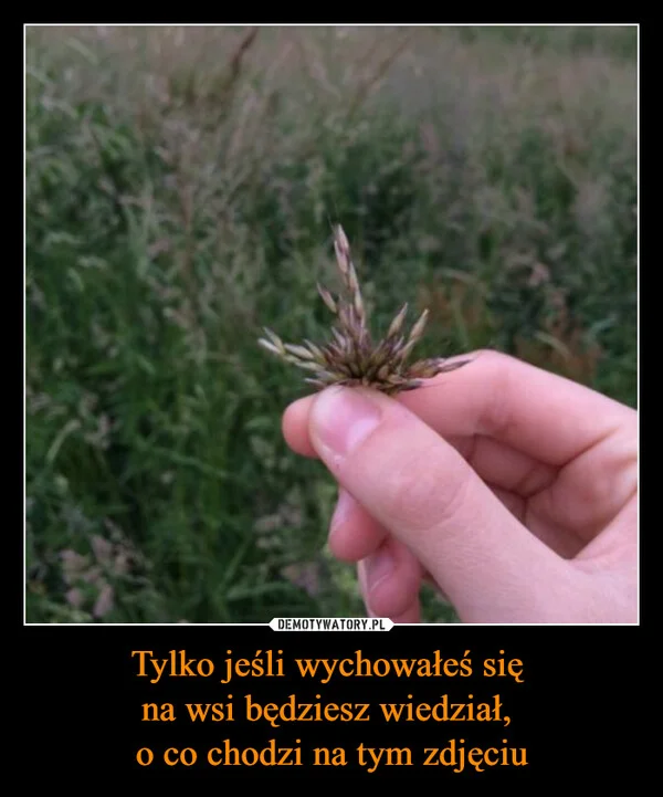 
    Tylko jeśli wychowałeś się na wsi będziesz wiedział, o co chodzi na tym zdjęciu