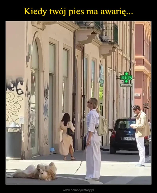 
    Kiedy twój pies ma awarię...