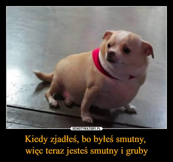 Kiedy zjadłeś, bo byłeś smutny, więc teraz jesteś smutny i gruby