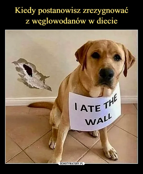 Kiedy postanowisz zrezygnować z węglowodanów w diecie