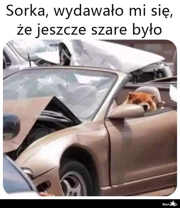 
    Jeszcze szare było 