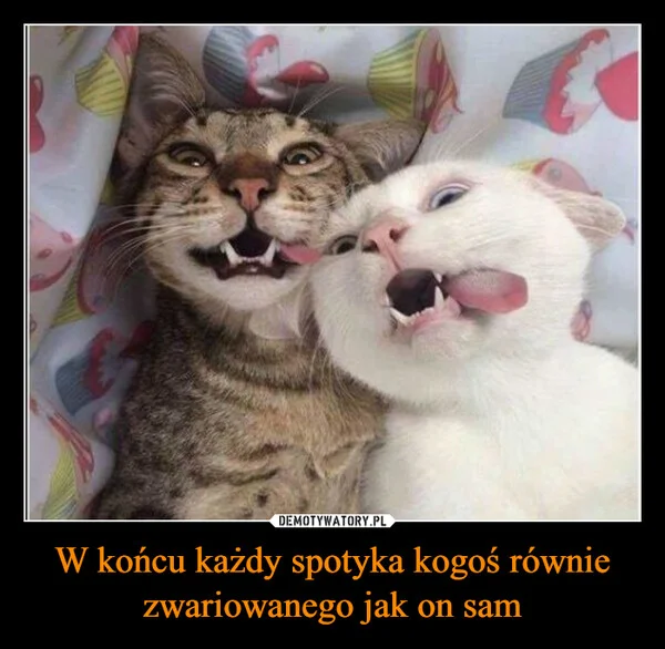 
    W końcu każdy spotyka kogoś równie zwariowanego jak on sam