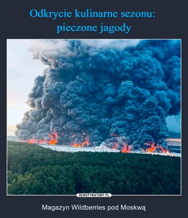 
    Odkrycie kulinarne sezonu: pieczone jagody