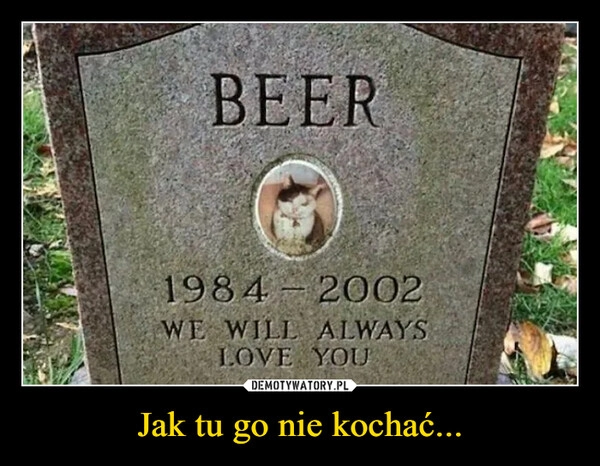 
    Jak tu go nie kochać...