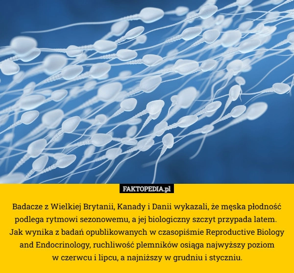 
    Badacze z Wielkiej Brytanii, Kanady i Danii wykazali, że męska płodność