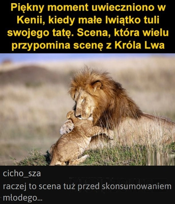 
    Piękny moment