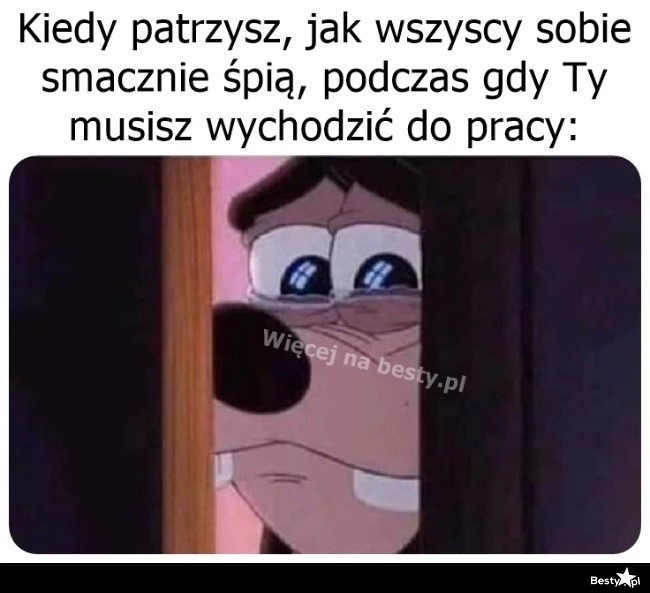 
    A do tego jest niedziela 