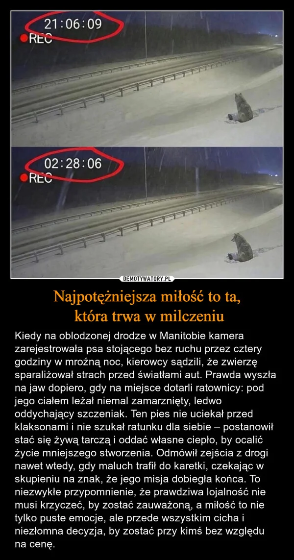 
    Najpotężniejsza miłość to ta, która trwa w milczeniu