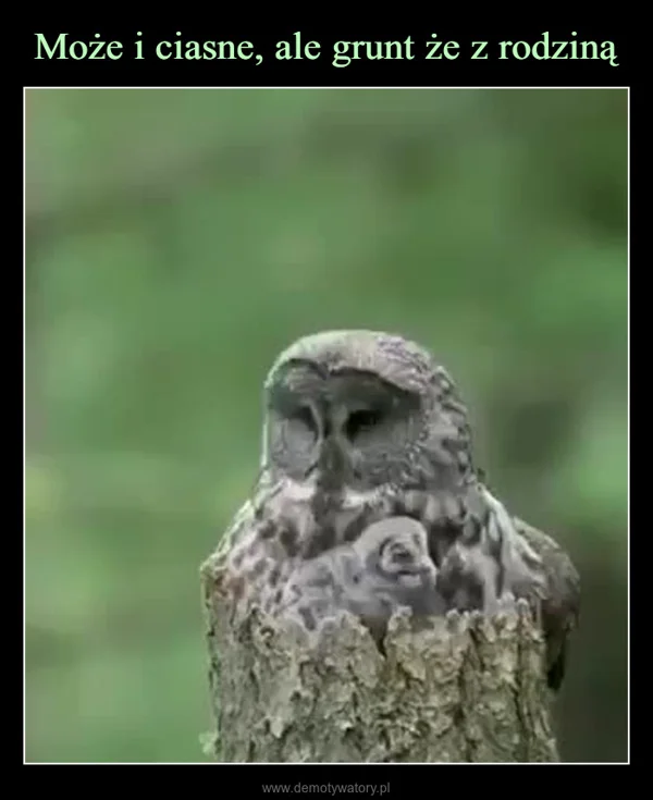 
    Może i ciasne, ale grunt że z rodziną