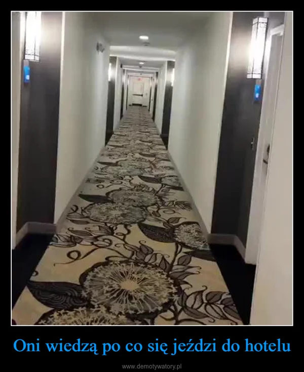 
    Oni wiedzą po co się jeździ do hotelu