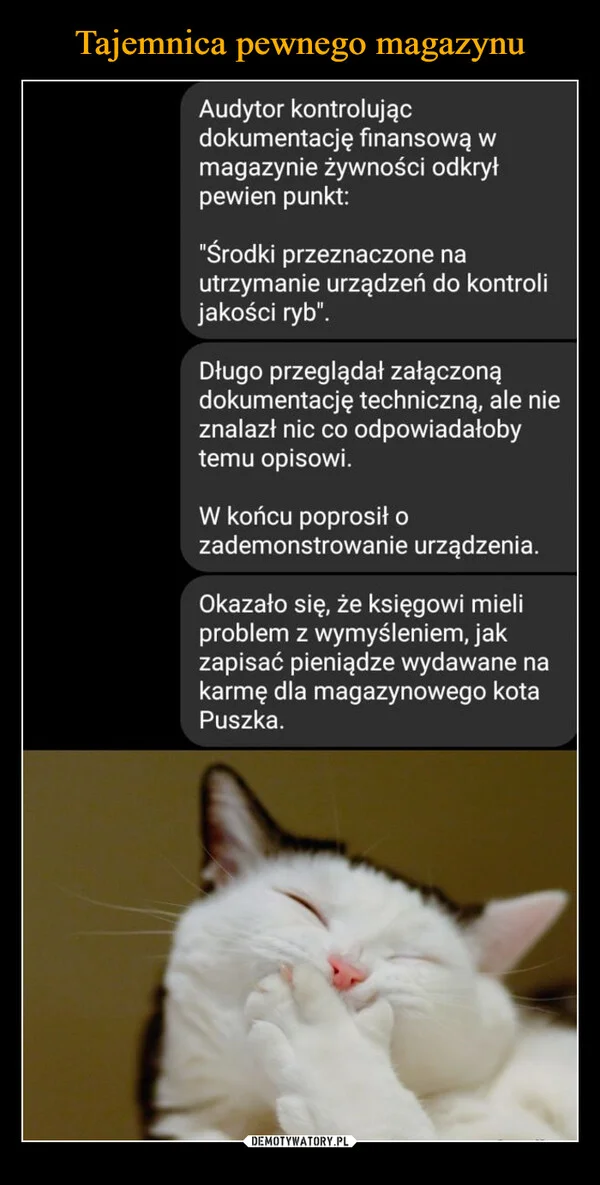 Tajemnica pewnego magazynu