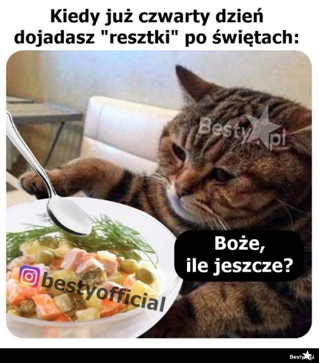 
    Już się przejadło 