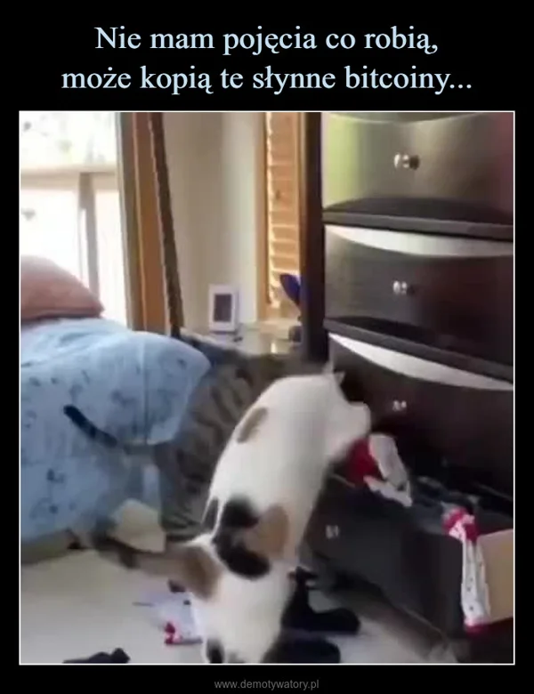 Nie mam pojęcia co robią, może kopią te słynne bitcoiny...
