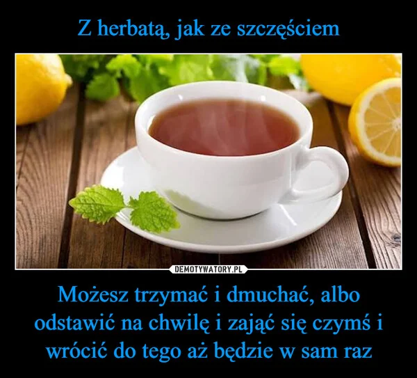
    Z herbatą, jak ze szczęściem Możesz trzymać i dmuchać, albo odstawić na chwilę i zająć się czymś i wrócić do tego aż będzie w sam raz