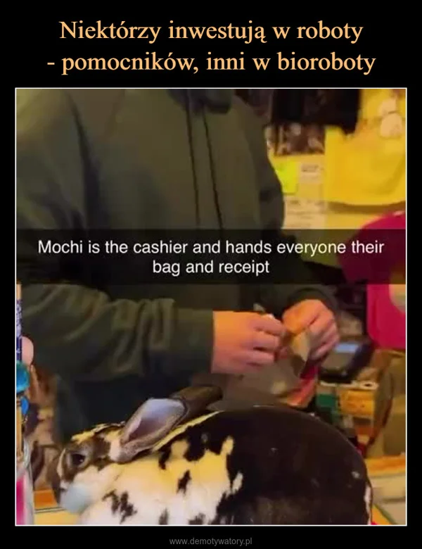 
    Niektórzy inwestują w roboty - pomocników, inni w bioroboty