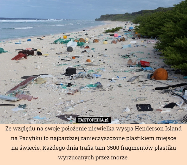 
    Ze względu na swoje położenie niewielka wyspa Henderson Island na Pacyfiku