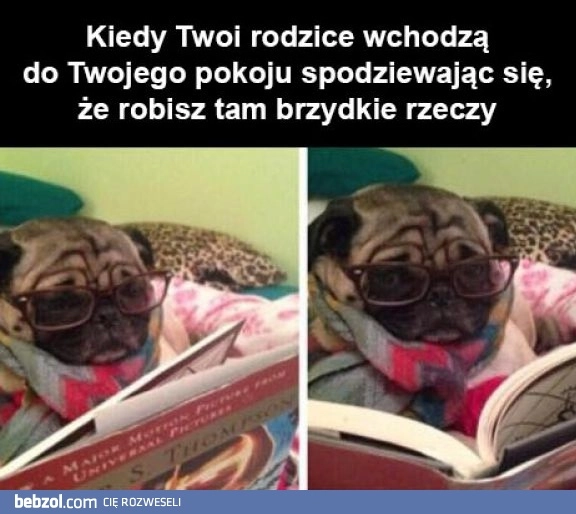 
    Niespodzianka