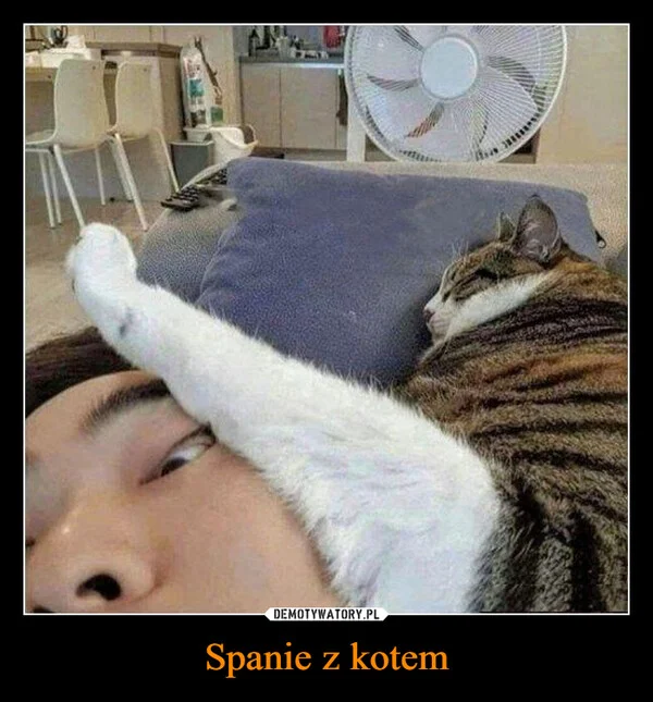 
    Spanie z kotem