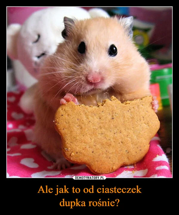 
    Ale jak to od ciasteczek dupka rośnie?