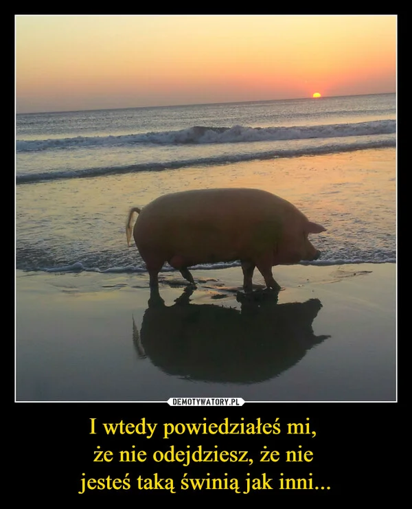 
    I wtedy powiedziałeś mi, że nie odejdziesz, że nie jesteś taką świnią jak inni...
