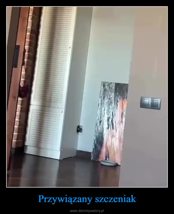 
    Przywiązany szczeniak