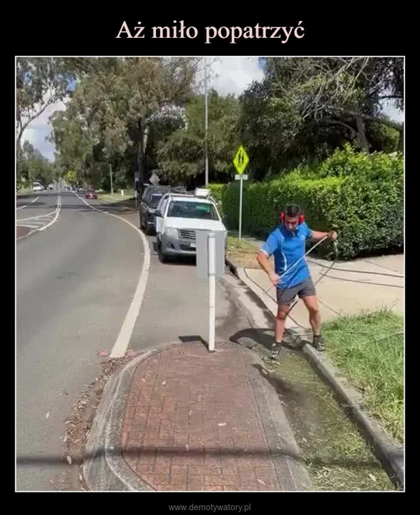 
    Aż miło popatrzyć