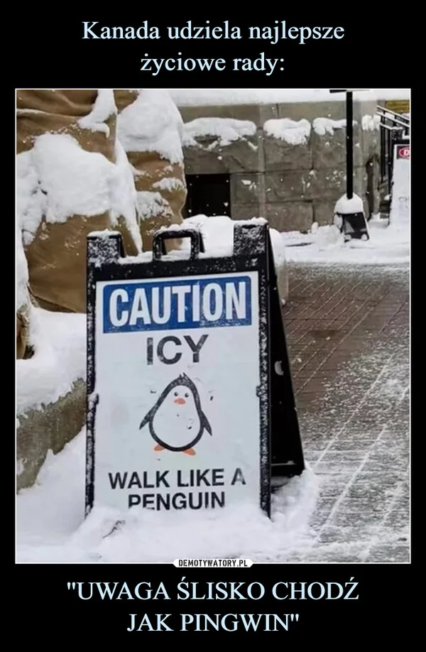 
    Kanada udziela najlepsze życiowe rady: ''UWAGA ŚLISKO CHODŹ JAK PINGWIN''