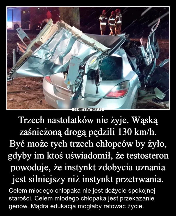 
    Trzech nastolatków nie żyje. Wąską zaśnieżoną drogą pędzili 130 km/h.
Być może tych trzech chłopców by żyło, gdyby im ktoś uświadomił, że testosteron powoduje, że instynkt zdobycia uznania jest silniejszy niż instynkt przetrwania.