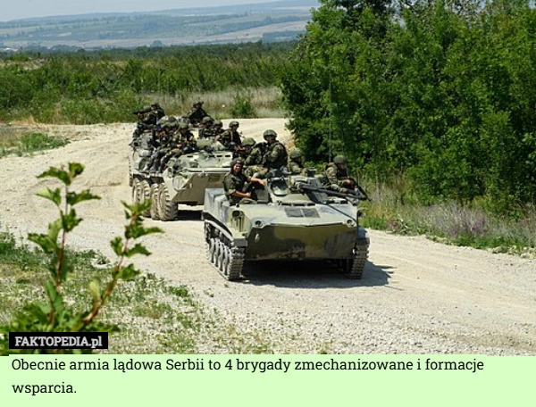 
    Obecnie armia lądowa Serbii to 4 brygady zmechanizowane i formacje wsparcia.