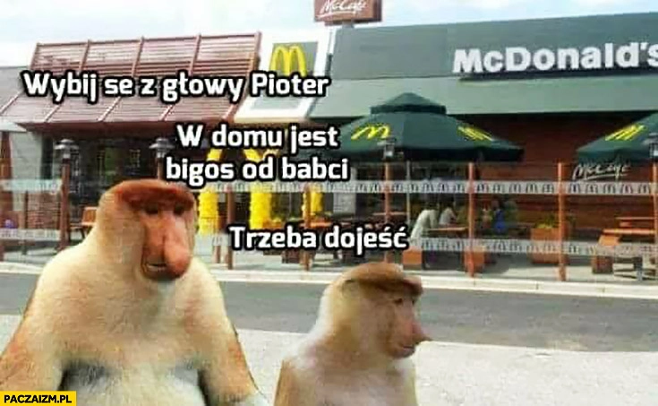 
    McDonalds wybij sobie z głowy Pioter, w domu jest bigos od babci trzeba dojeść typowy Polak nosacz małpa