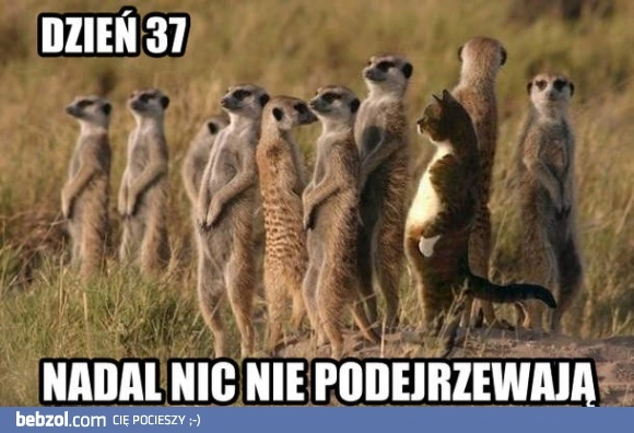 
    Oni jeszcze nie wiedzą