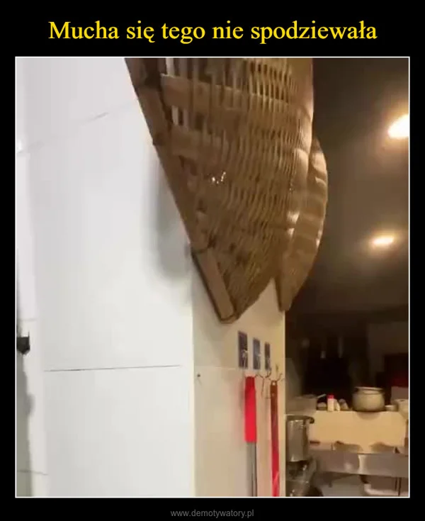 
    Mucha się tego nie spodziewała
