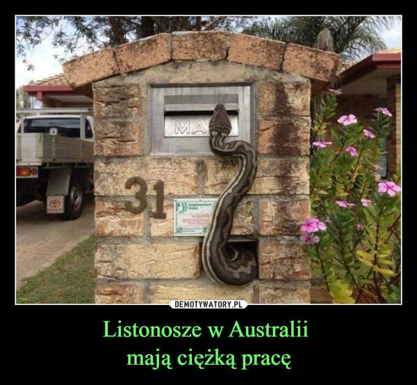 
    Listonosze w Australii 
mają ciężką pracę