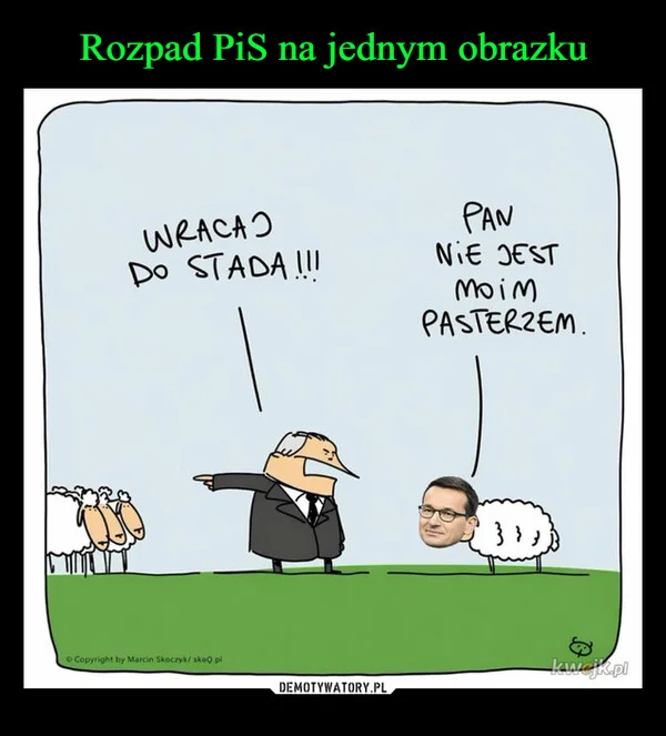 
    Rozpad PiS na jednym obrazku