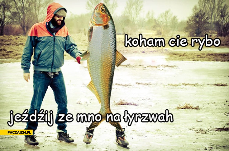 
    Kocham Cię rybo jeździj ze mną na łyżwach